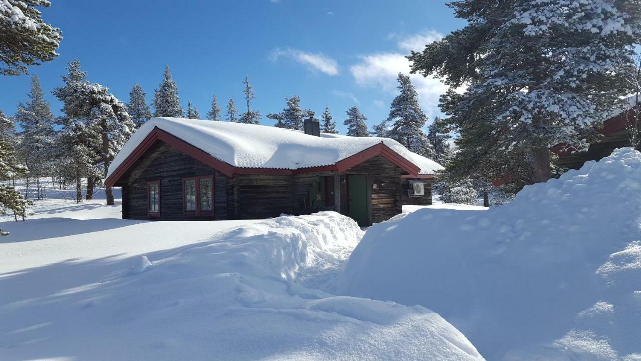 Saelens Bed & Breakfast Apartments Eksteriør bilde