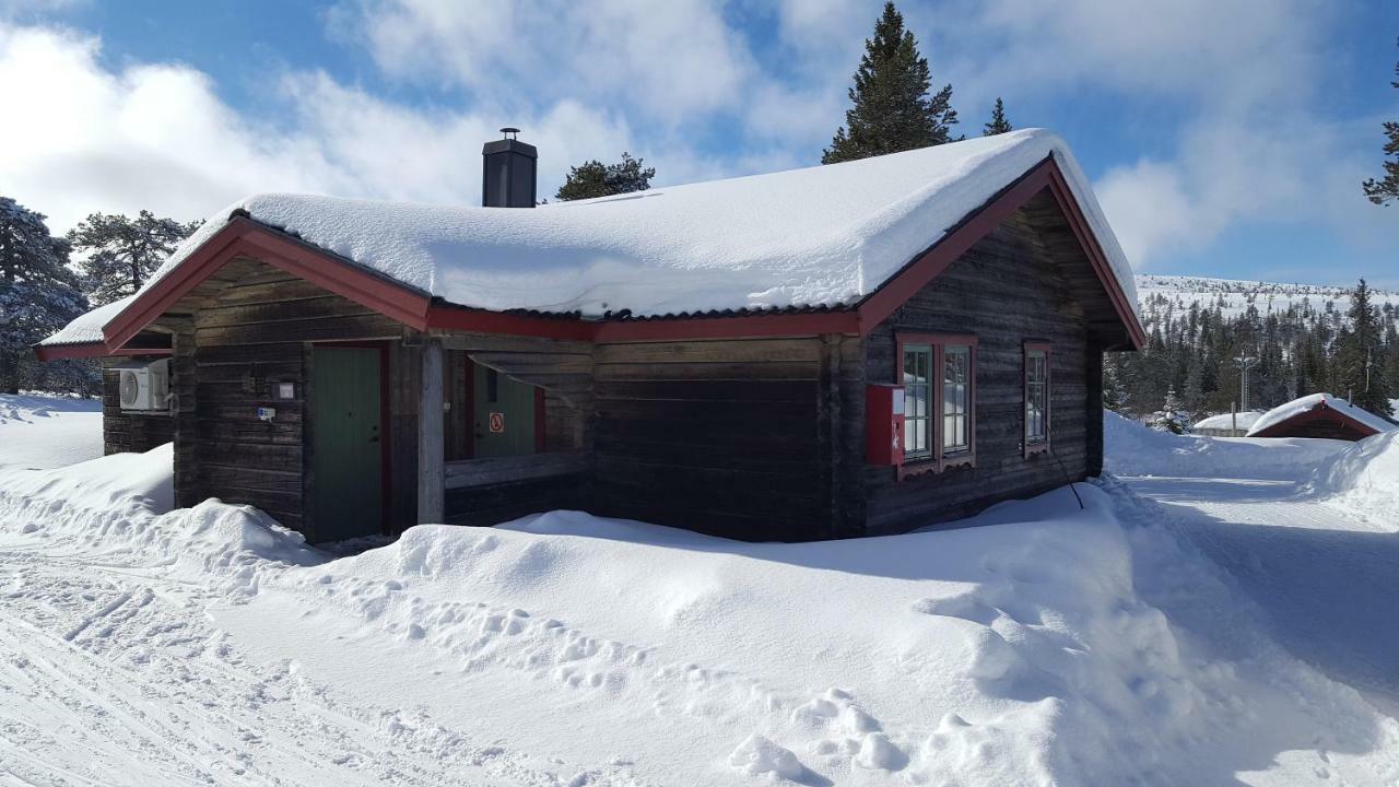 Saelens Bed & Breakfast Apartments Eksteriør bilde